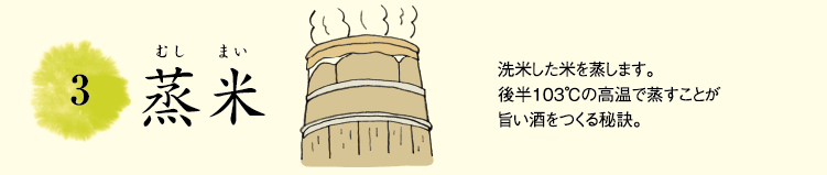 3.蒸米