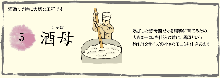 5.酒母